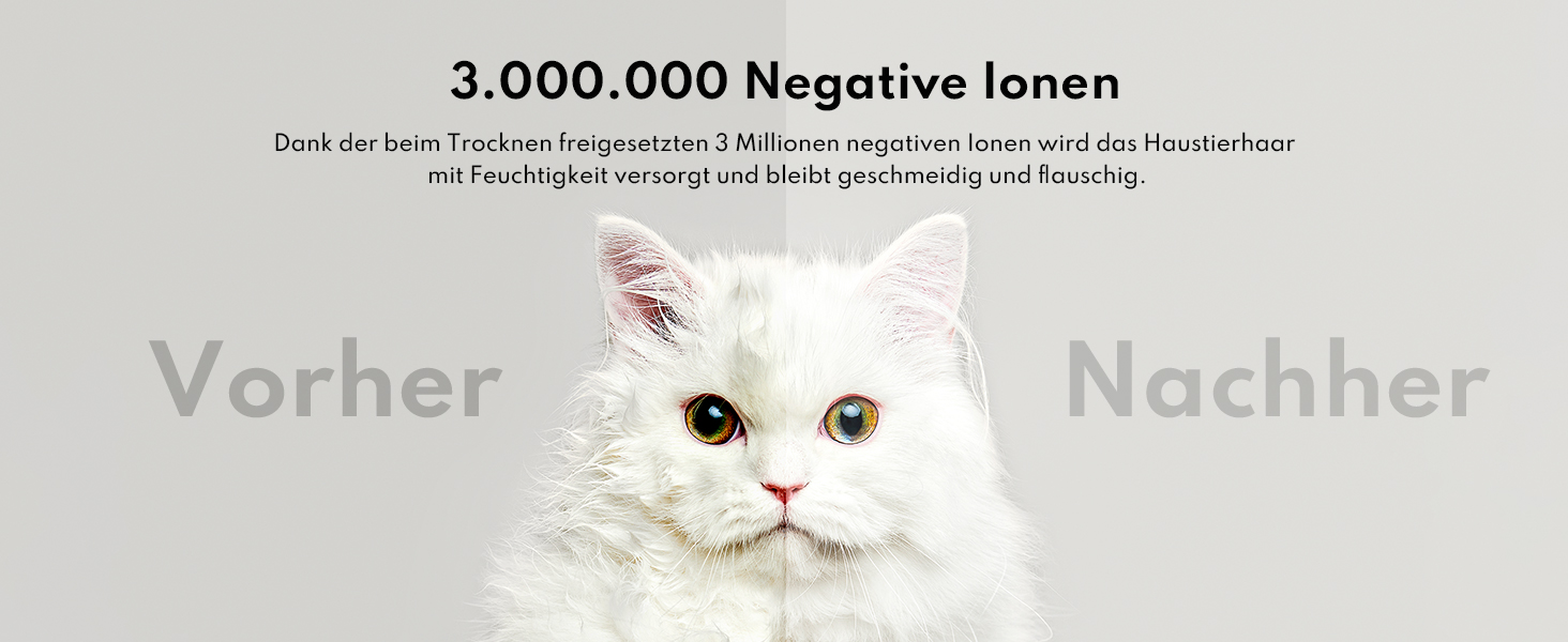 Haustiertrockner HomeRunPet Drybo Plus: Безшумний, автоматичний фен для собак та котів (50л, білий)