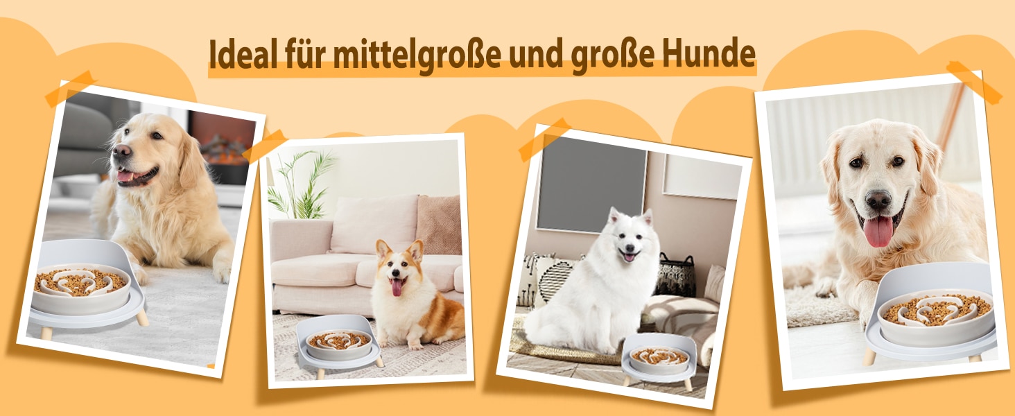 Підвищена стійка для великих мисок для собак - годівниця для середніх та великих собак - для мисок діаметром до 20,2 см - сірого кольору (миска не входить до комплекту) Large сірий