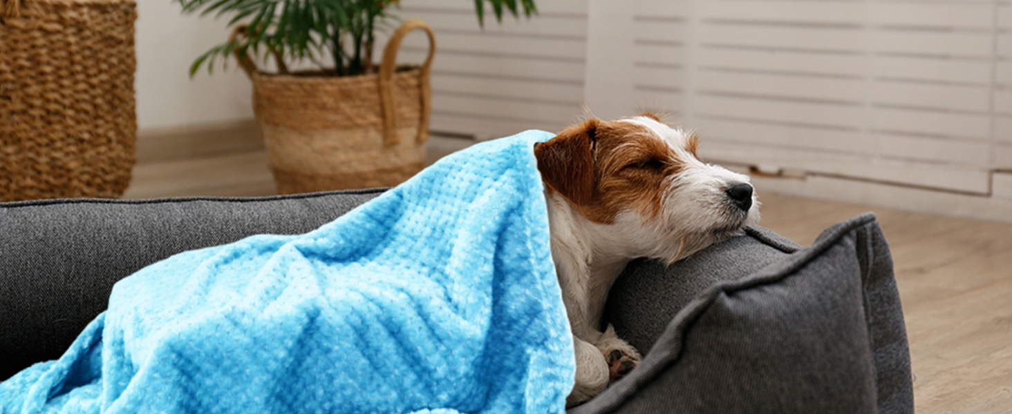 Двошарові ковдри для собак та котів SLSON, 70x100 см (блакитний та рожевий)