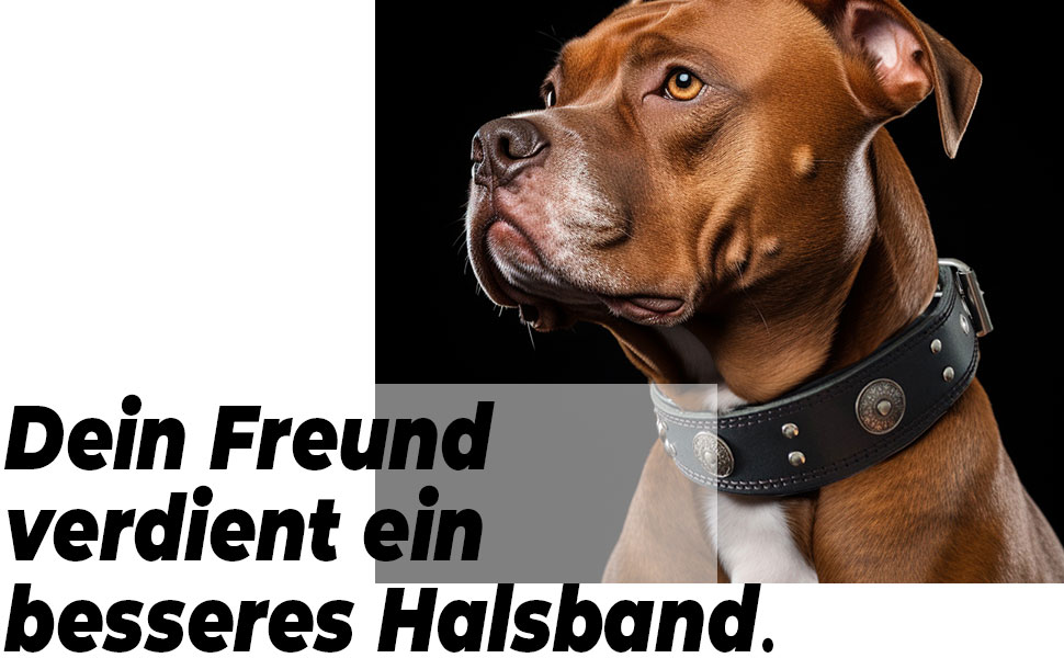 Нашийник для собак з натуральної шкіри, 5 см, чорний, розмір M (46.5-57.5 см)