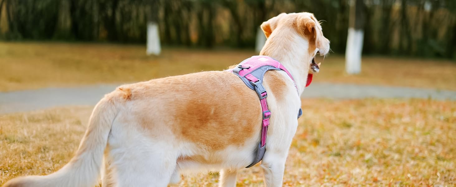 Шлейка для собак Huntboo Anti-Zug, без обмеження руху, для малих, середніх та великих собак, не тягне, світловідбиваюча, з 2 карабінами, не душить, регульована, для тренувань та бігу (Рожева, M)