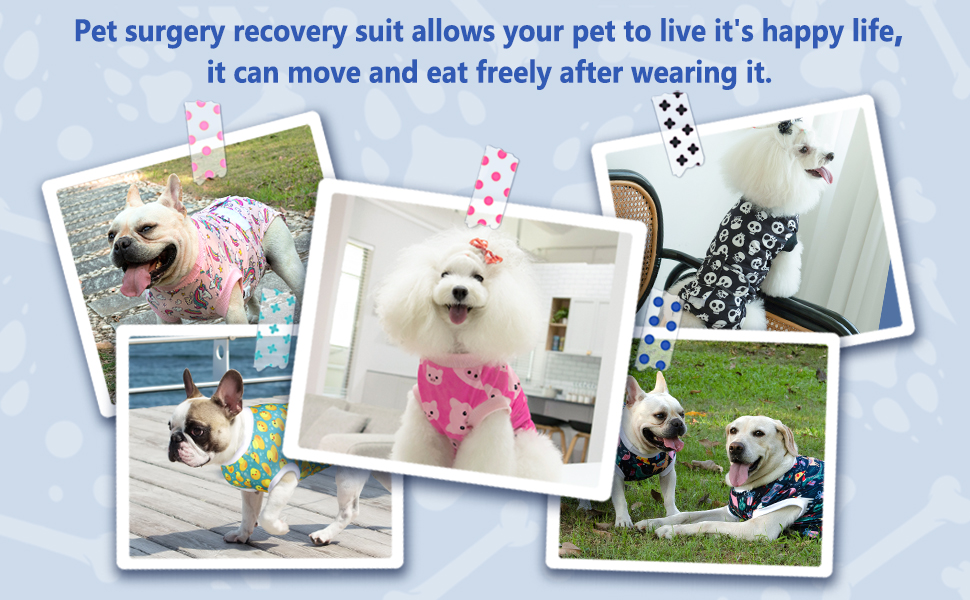 Комбінезон для собак та котів CuteBone Skulls післяопераційний, середній, для захисту ран, SSF05M-DE