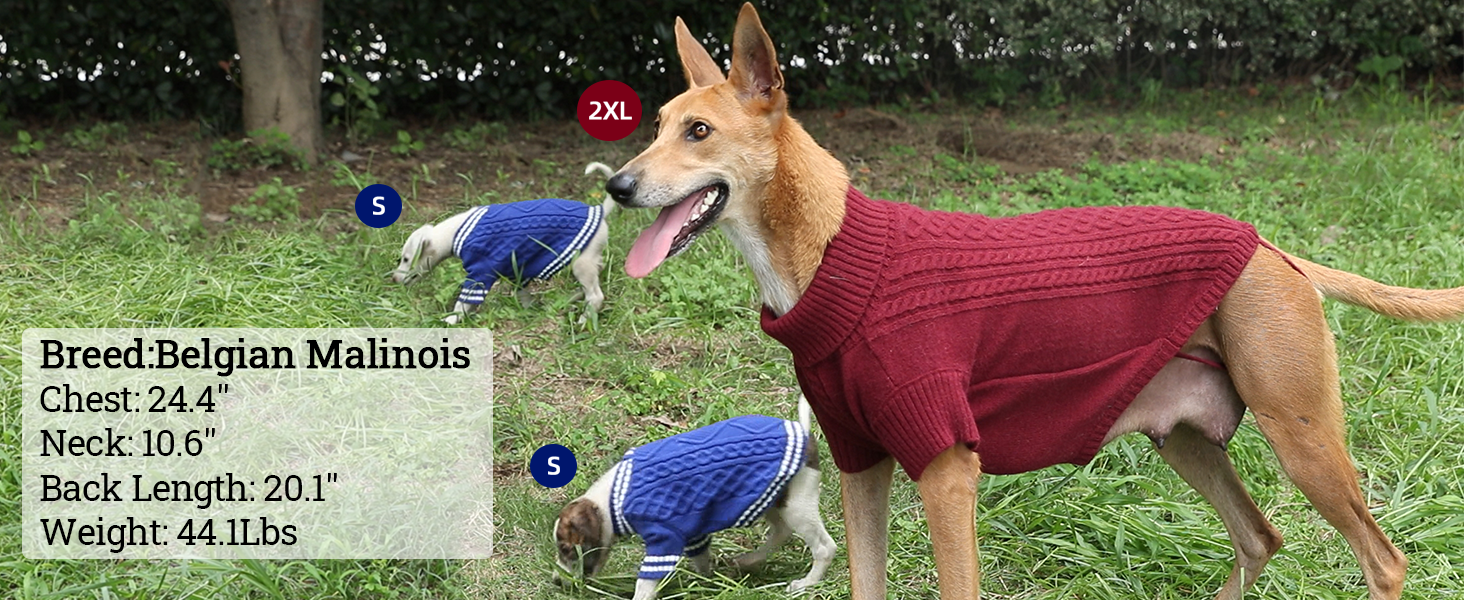 Теплий святковий светр для собак - червоний, з отвором для повідка, для чихуахуа, рейнхаунд та котів (S, груди 40 см, спина 28 см)