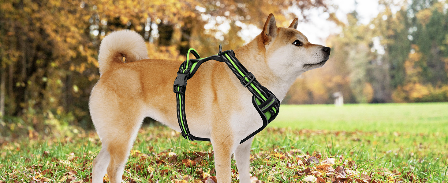 Шлейка для собак середніх порід Bluzelle, світловідбиваюча з ручкою та кишенею для GPS-трекера, анти-тяга, дихаюча, розмір M, зелена