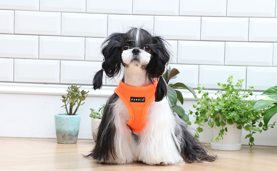 Лежанка для собак Puppia Papa - AC1325-OR (Рожева, XL) - Комфортна та якісна