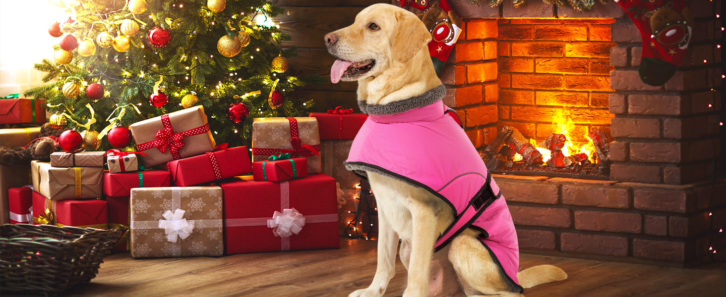 Водонепроникний зимовий одяг для собак Dotoner, теплий, з підкладкою з флісу, для великих собак XL, морський колір