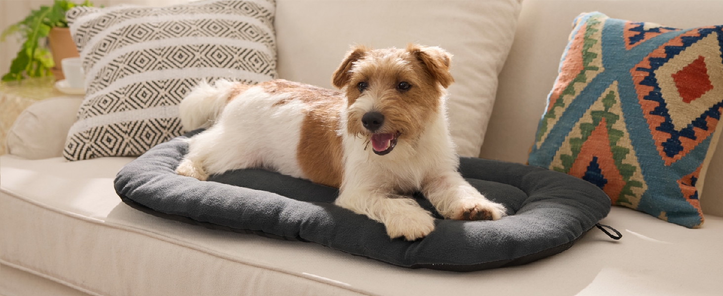 Кілимок для собак BEDSURE - м'який та зручний, 89x56 см, темно-сірий. Підходить для великих та середніх собак, з неслизькою основою.