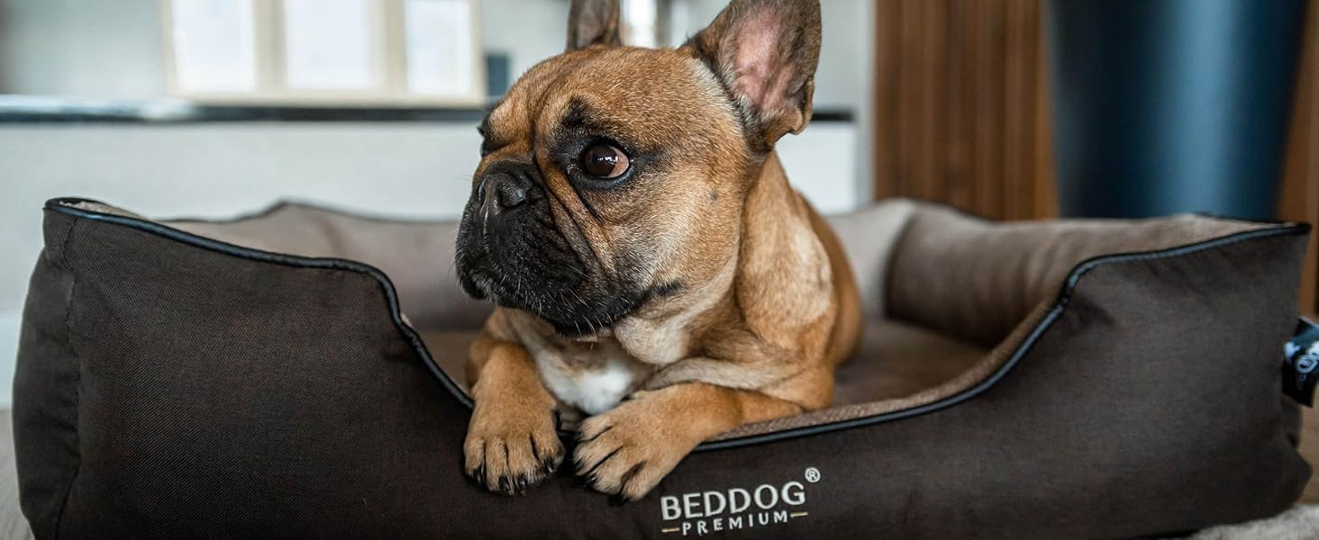 Преміум ортопедичне ліжко для собак BedDog Clara, м'яке ліжко-кімнатна подушка знімним чохлом, ковдра в подарунок - Rock (сірий) L 110 x B 75 x H 25 см ROCK (сірий)