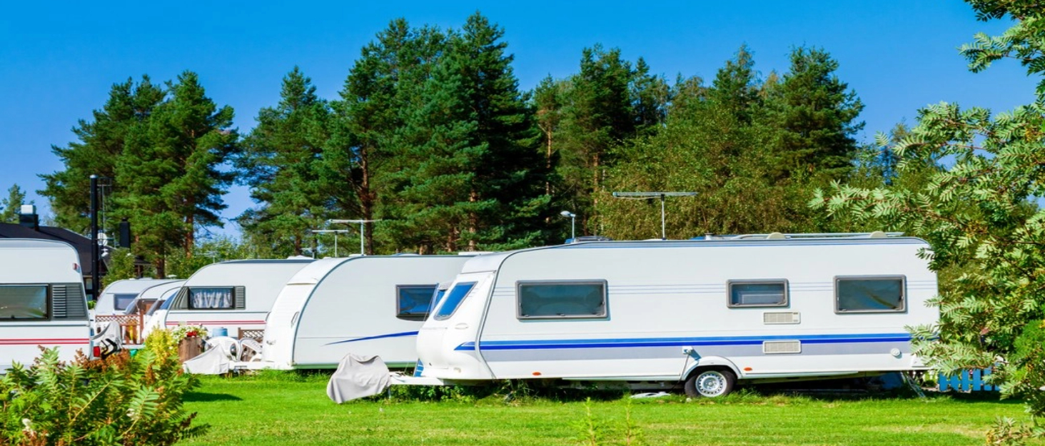 Щітка для видалення шерсті собак, 2-в-1 сталевий гребінь для розплутування, щітка для собак, великих цуценят, видаляє ковтуни (біла)