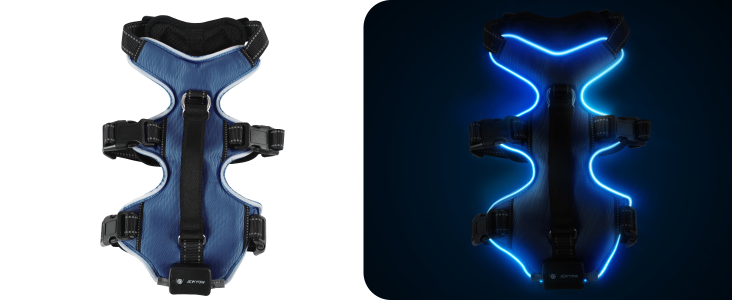 Світловідбиваючий нашийник для собак з LED підсвічуванням, перезаряджуваний, з м'якою ручкою, 3 регульовані розміри, водонепроникний, для середніх та великих собак, зелений (блакитний, XL)