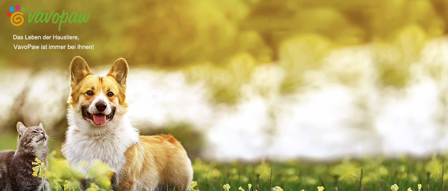 Автокрісло для собак VavoPaw: комфортне та безпечне автокрісло для середніх та маленьких собак (до 23 кг), чорний/сірий, розмір M