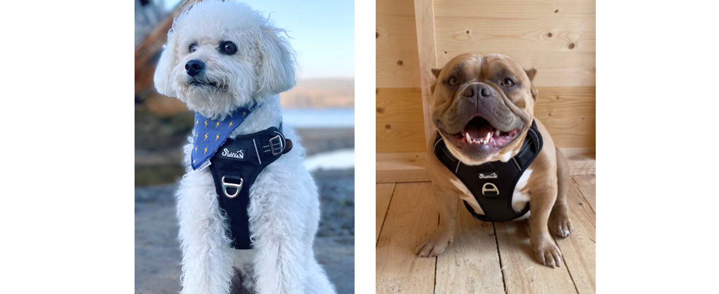 Шлейка для собак великих порід, анти-тяга, з 2 карабінами та зручною ручкою, регульована та світловідбиваюча, з м'якою підкладкою, для щоденних тренувань (Чорний, L)