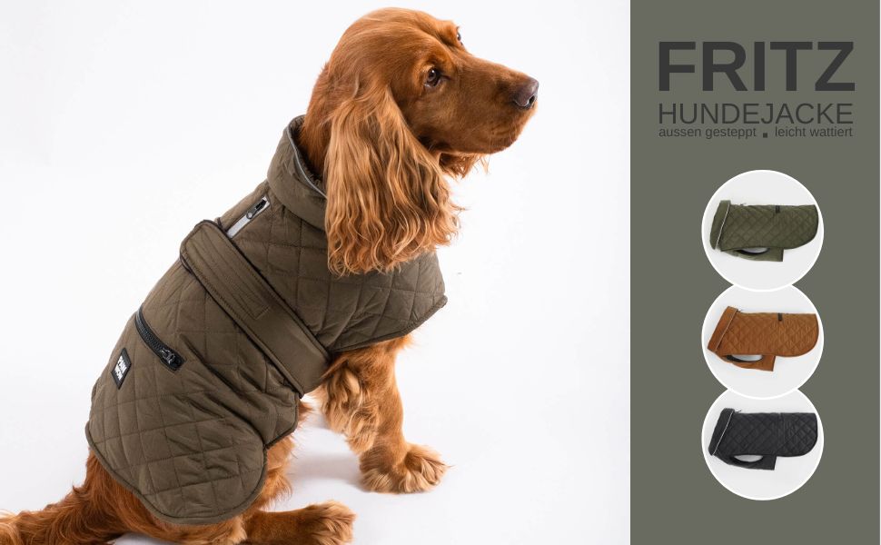 Зимовий теплий одяг для собак | Куртка для собак з захистом живота та клямками | Оливковий колір, розмір S