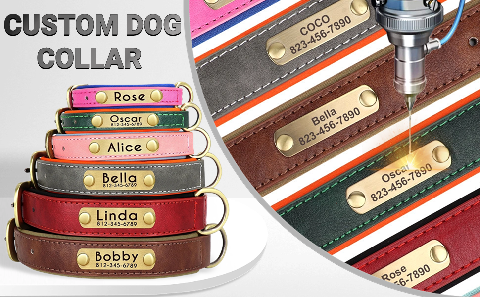 Нашийник та поводок для собак, шкіряні, персоналізовані, м'яко стьовані, міцні, з індивідуальною табличкою, регульовані (M, верблюжий, комплект M: обхват шиї 28-37 см, ширина 2 см)