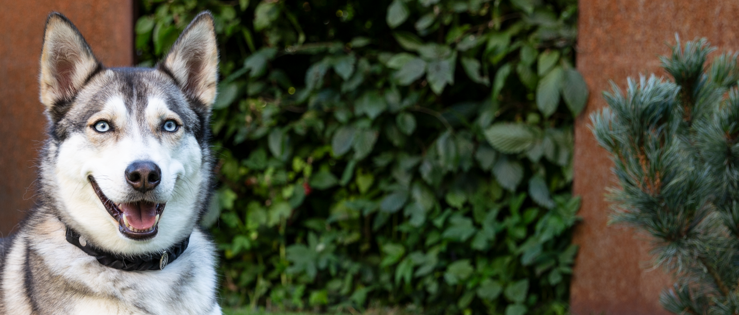 Килимок для собак CopcoPet Jumbo сірий 110 x 80 x 8 см - міцний, з штучної шкіри, легко миється, не слизький, для середніх собак, для дому, саду, переноски, кемпінгу