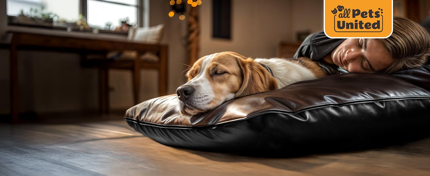 Килимок для собак, лежанка для собак Indoor & Outdoor; м'який лежак для собак та котів (L - 100x70 см)