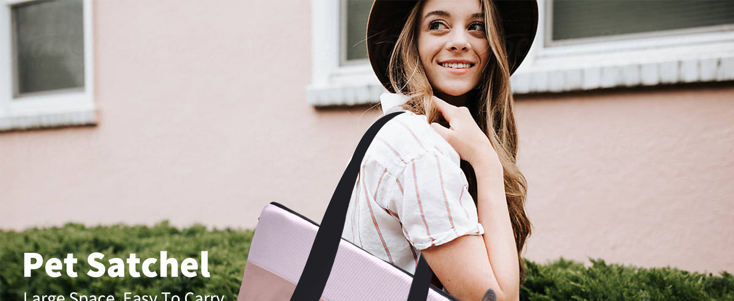 PETCUTE Сумка-переноска для собак, сіра, до 10 кг, з ременем безпеки та знімним підкладом