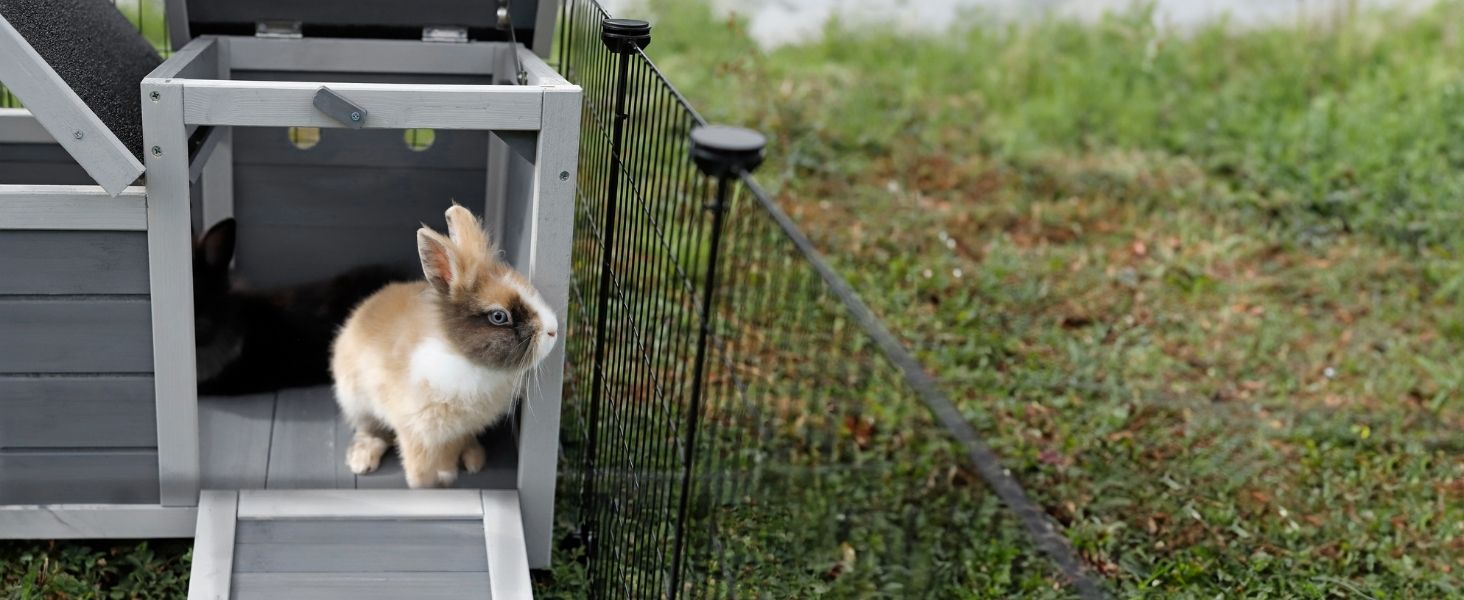 Клітка для кроликів Lionto з дерева з двома входами, 70x43x45 см, водостійке дах з бітуму та пластикові ніжки, для внутрішнього та зовнішнього використання, зимостійка, сучасний дизайн