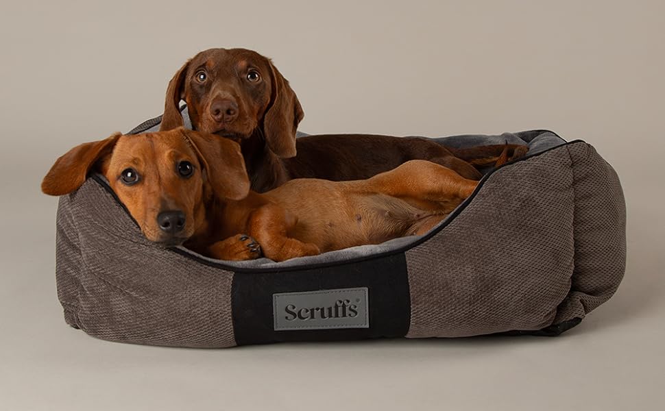 Scruffs Chester Bed L - ліжко для собак, шоколадний колір, 75 x 60 x 18 см