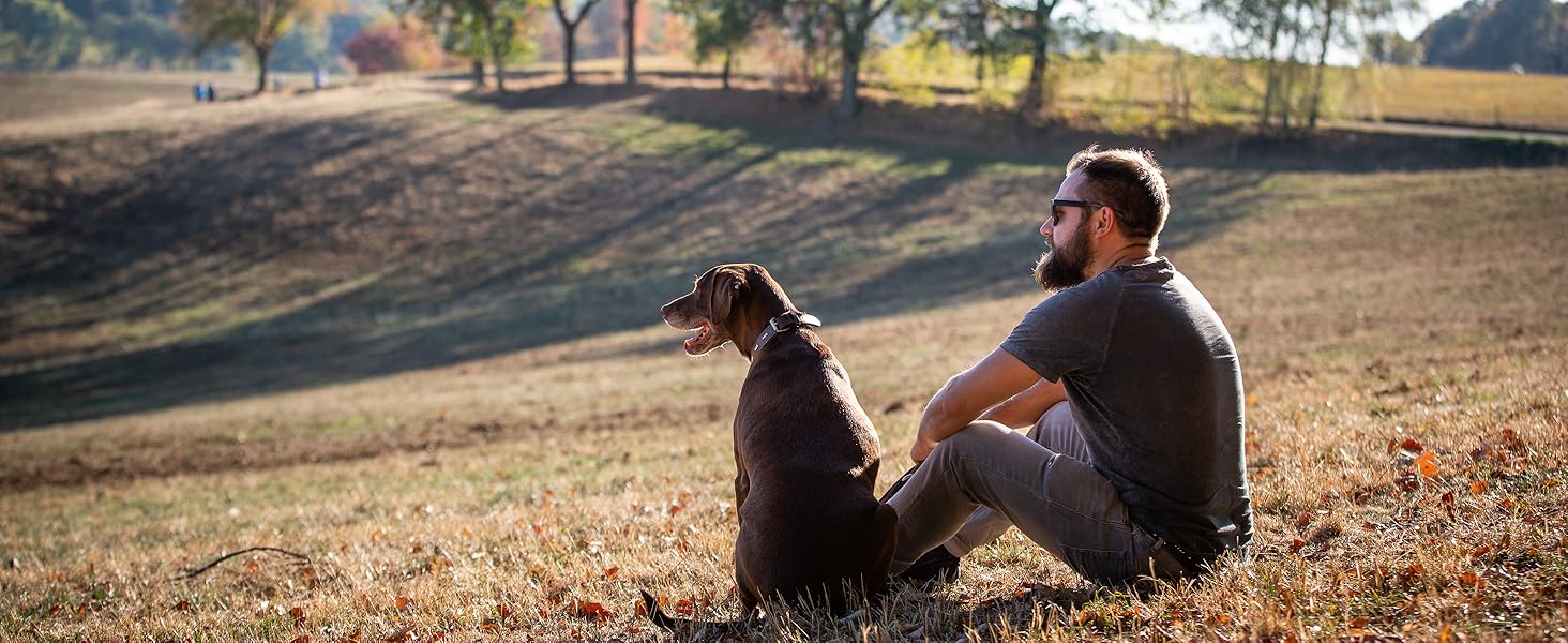 Стильний шкіряний нашийник для собак Джек Рассел від Abey: нашийник з буйволячої шкіри, вишуканий дизайн з різьбленням, м'яка підкладка (S, 26-34 см)