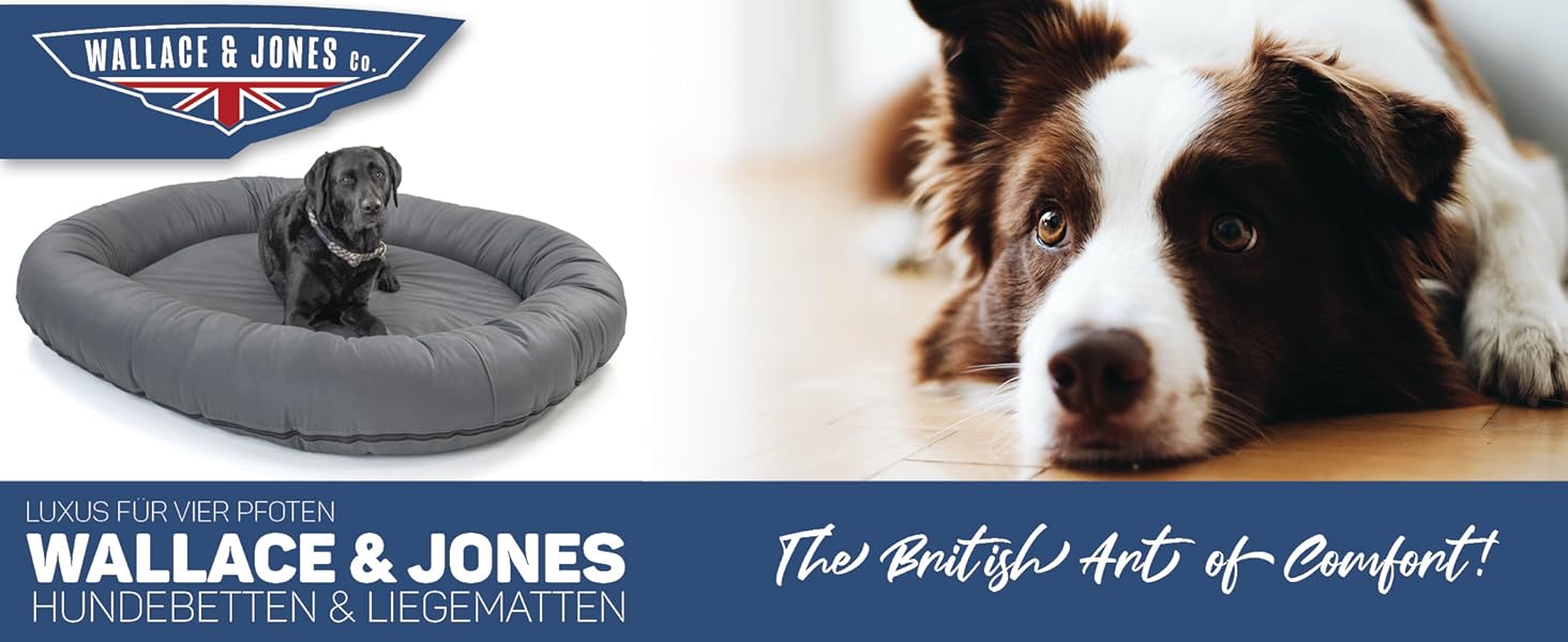 Wallace & Jones Преміум лежанка для собак Болтон, 63x50 см, штучна шкіра, для маленьких собак, темний сірий колір