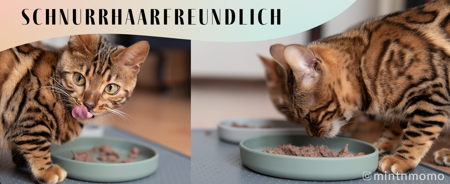 Миска для котів [Nala Collection] - широка миска для корму | Силіконова миска для котів | Миска для котячого корму sage green