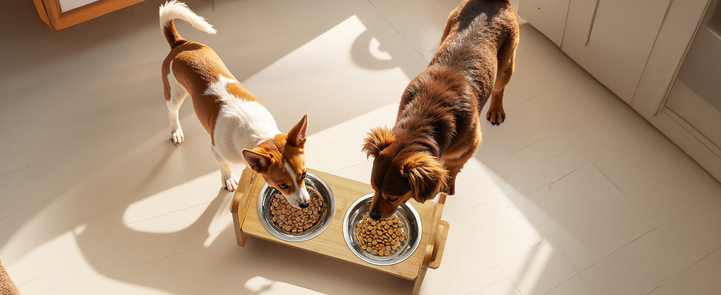 Підвищена годівниця для собак RLAVBL з бамбука, регульована, для повільного годування, з 2 нержавіючими мисками, антиковзаючі підкладки, для собак та котів
