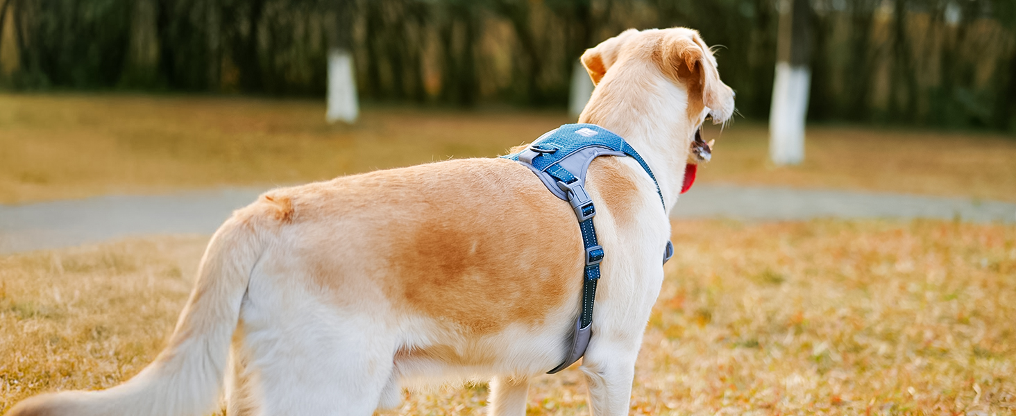 Шлейка для собак Huntboo Anti-Zug, для малих, середніх та великих собак, не тягне, світловідбиваюча, з 2 карабінами, регульована, для тренувань та бігу (M, синій)
