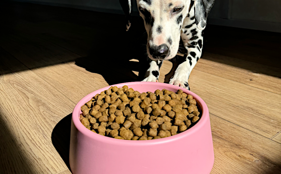 Миска для собак Beco - годівниця та поїлка, стабільна миска з переробленого пластику, неслизька гумова основа, Candy Pink, великий розмір L