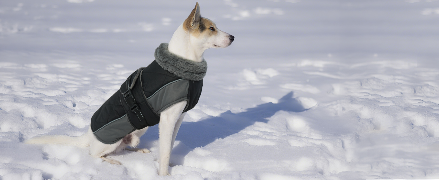 Водонепроникний зимовий одяг для собак великих порід (Німецька дога) з високим коміром, 3XL, зелений