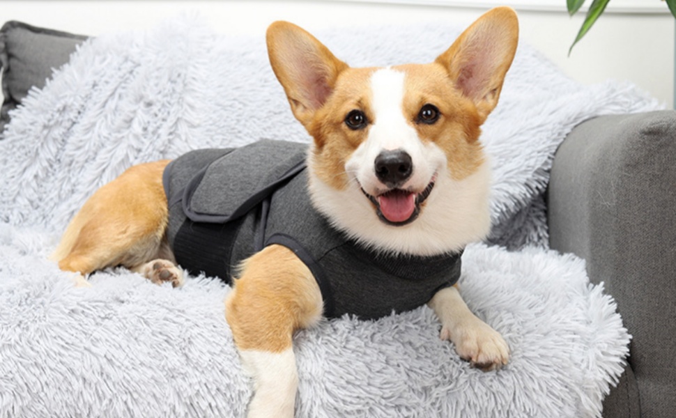 Жакети та жилети для собак від тривоги: комфортний одяг для собак, що переживають тривогу, зняття тривоги, заспокійлива жилетка-обгортання, дихаюча тканина, розмір S