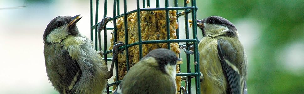 Годівниця для птахів Dobar® 10041 з нержавіючої сталі - годівниця для диких птахів, годівник з сіткою для горіхів - годівник зі сталі для саду/тераси/балкону - Ø 14 см x 26 см - Сріблястий 1 шт. (1 шт. в упаковці) Розмір M для горіхів (1 шт. (1 шт. в упаковці), Розмір L для насіння)