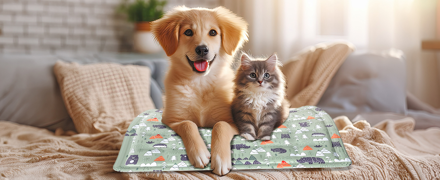 Кühlmatte Hunde: Охолоджуючий килимок для собак та котів 50x65 см. Самоохолоджуючий, водовідштовхуючий, з нетоксичним гелем. Для дому та вулиці.