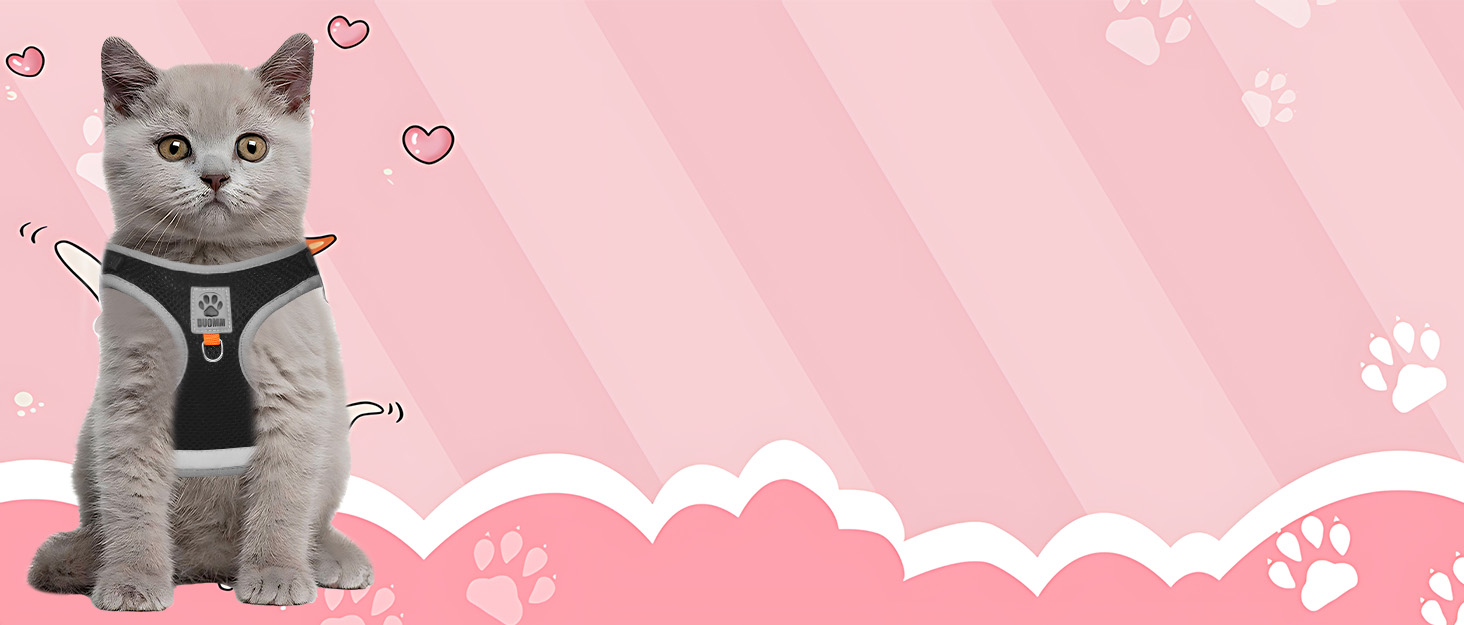 Нашийник для кота Bindokun з повідком, антивитік, комплект, чорний, S