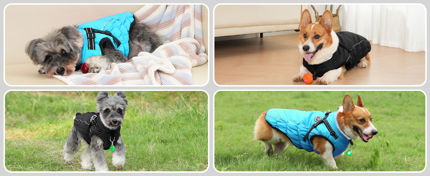 Зимовий одяг для собак: теплий водонепроникний одяг з коміром LED та світловідбиваючими смугами, 5XL, чорний