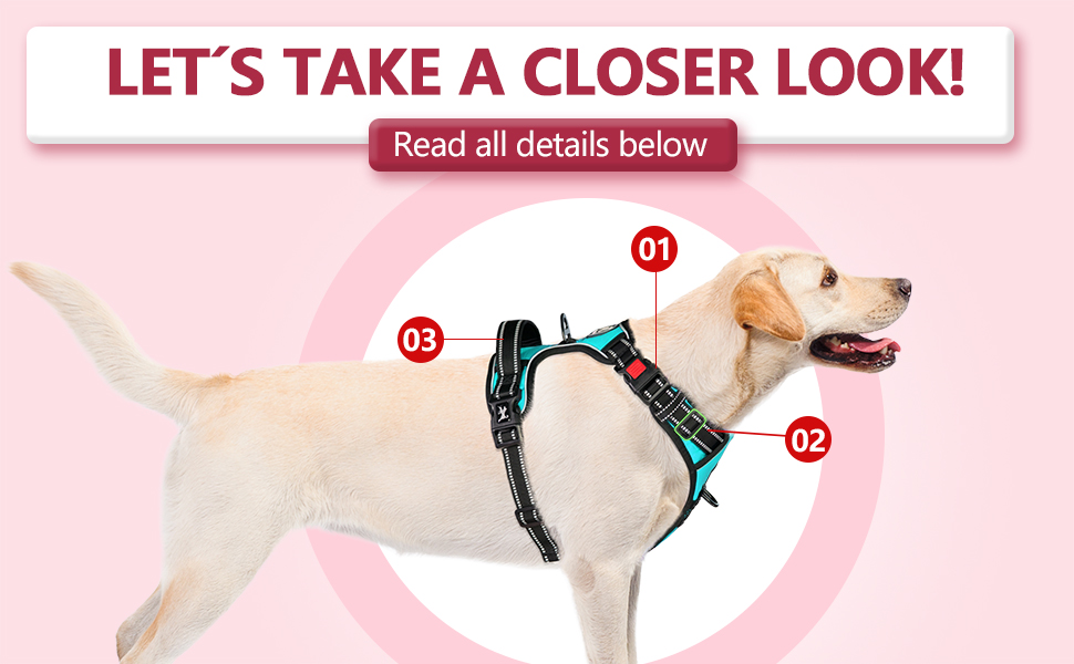 Шлейка для собак PoyPet, без тяги, без блювоти, світловідбиваюча, з 2 карабінами, регульована, м'яка, з простим контролем, для собак різних розмірів (розмір S, блакитна)