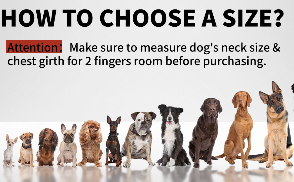 Нашийник та поводок для собак, шкіряні, персоналізовані, м'яко стьовані, міцні, з індивідуальною табличкою, регульовані (M, верблюжий, комплект M: обхват шиї 28-37 см, ширина 2 см)