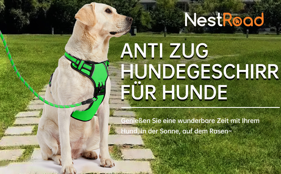 Нашийник для собак NESTROAD, анти-тяга, для маленьких собак, розмір S (28-38 см), з світловідбиваючими смугами