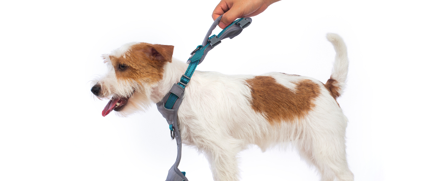 Нашийник-шлейка Huntboo для собак, анти-випадковий вихід, для панічних собак, світловідбиваючий нашийник з ручкою, регульований (S, 1 шт., блакитно-зелений)