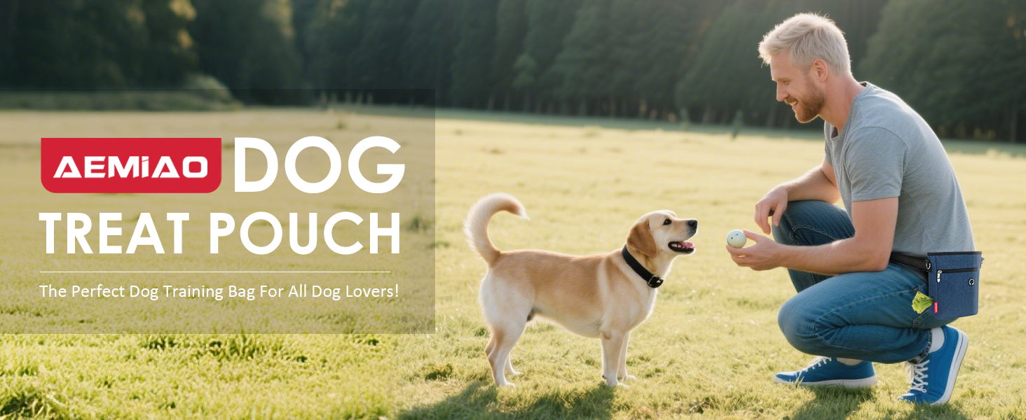 Футляр для ласощів для собак з магнітною застібкою, сумка для тренування собак з знімною внутрішньою кишенею, багатофункціональна сумка для ласощів для собак зі спонсором для фекалій, сірий (блакитний)