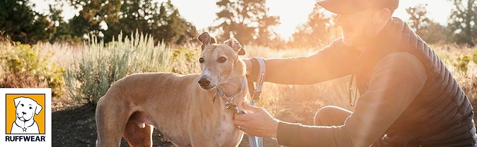 Нашийник для собак RUFFWEAR Web Reaction, гранітно-сірий, 43-51 см
