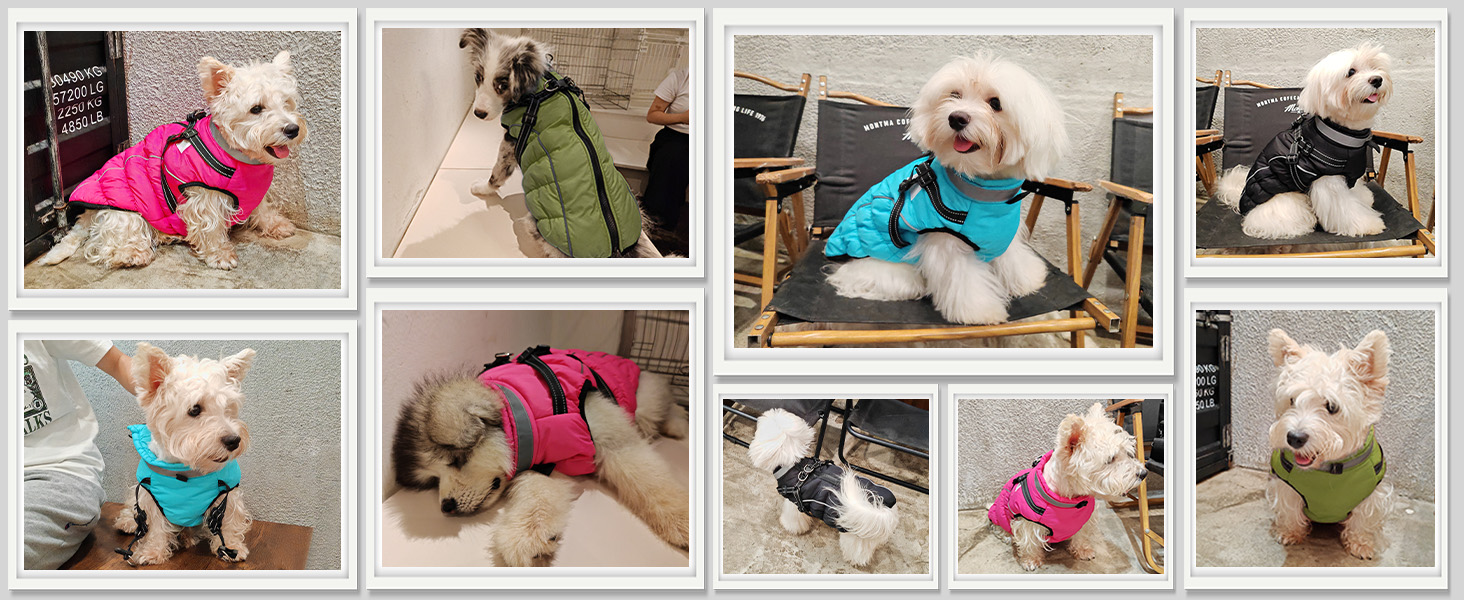 Зимовий одяг для собак: теплий водонепроникний одяг з коміром LED та світловідбиваючими смугами, 5XL, чорний