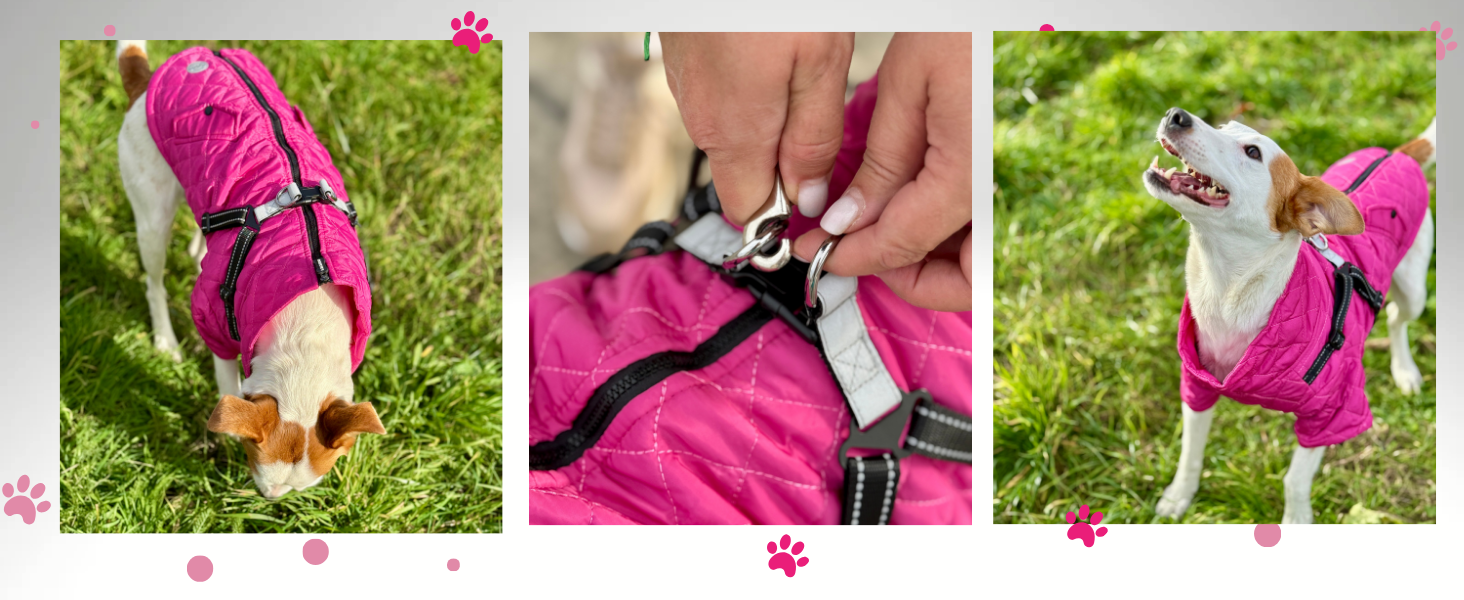 Теплий водонепроникний зимовий пуховик для собак Lalzoo LUVI 2-в-1 з інтегрованим нашийником – для маленьких та середніх собак, світлодіодна куртка, бежевий, розмір S