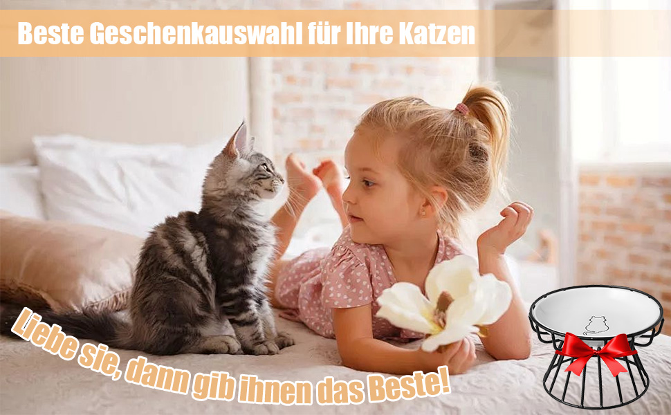 Підвищені годівниці для котів (2 шт.) - металеві миски з підставкою, 15 см, для кошенят та дорослих котів