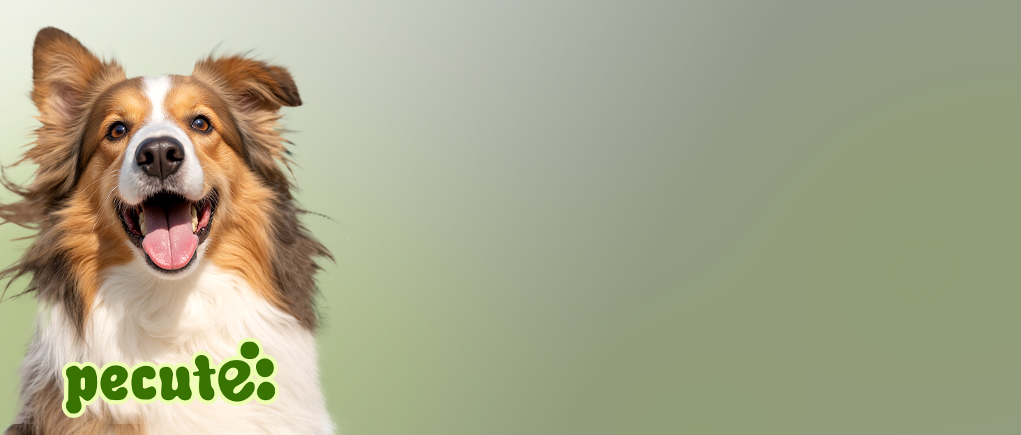 Щітка для собак з довгим хутром Pecute, щітка для котів, щітка для домашніх тварин, самоочисна вичасувальна щітка, гребінець для собак Pecute, м'яко видаляє підшерсток, масажна щітка для догляду за шерстю котів та собак з короткою шерстю