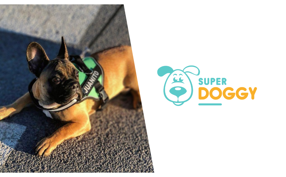 SUPER DOGGY Персоналізована шлейка для собак, світловідбивна, безпечна, з 2 нашивками імені, для малих, середніх і великих порід, розмір XL (30-45 кг), дизайн Comic