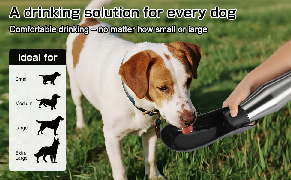 Водяна пляшка для собак на прогулянці - витокозахисна, з нержавіючої сталі, подвійні стінки, вакуумна ізоляція, 750 мл (Чорний)