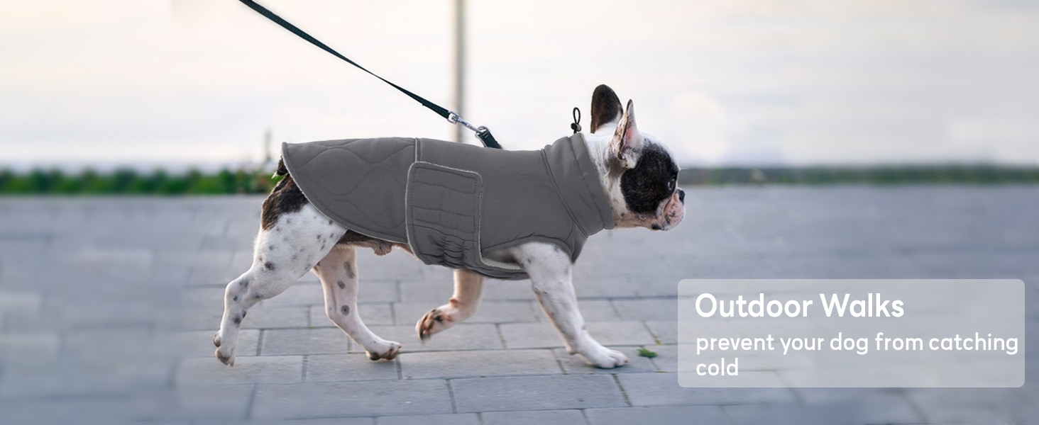 Зимовий теплий одяг для собак маленьких порід: куртка, жилет, теплий костюм для Чихуахуа, Звергшпіца, Йоркширського тер'єра (Армійний зелений, XS)