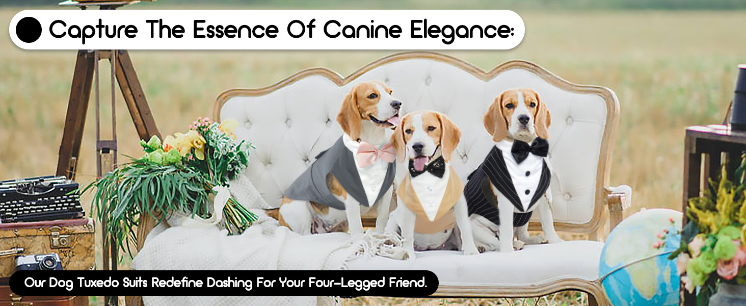 Костюм для собак 'Хюкосу Хунд' з банданою: для вечірок, свят, Хелловіну та Нового року. Підходить для собак різних розмірів.