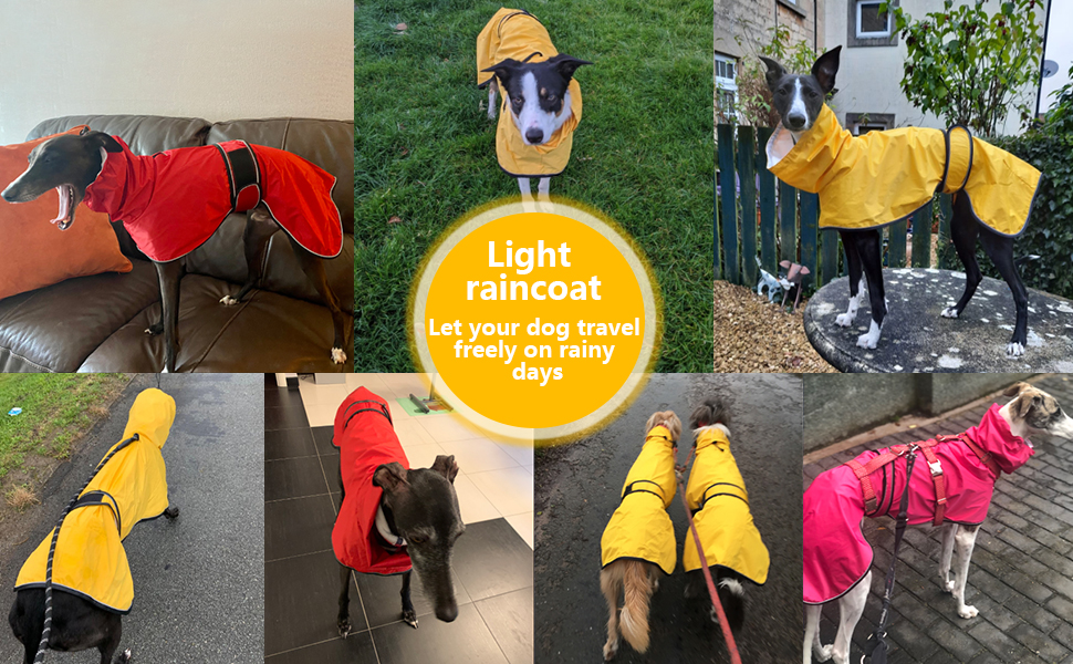 Водонепроникна куртка для собак Віндхаунд, червона, M (довжина спини 56-58 см)